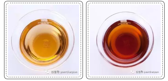 普洱生茶和普洱熟茶大不同，区别在哪？